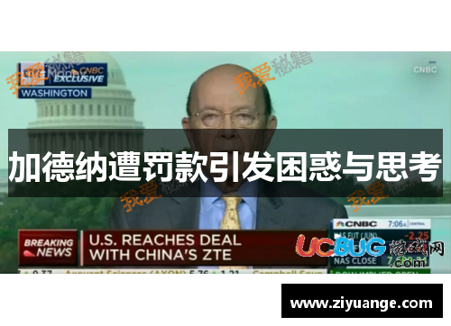 加德纳遭罚款引发困惑与思考